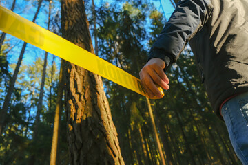 Crime scene. Yellow protective prohibition tape in a pine forest.Man fencing crime scene with...