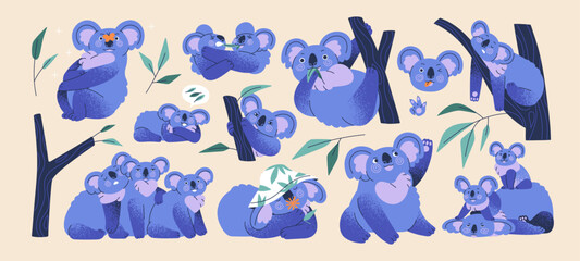 Cute koalas set. Happy Australian lazy bears. Funny adorable little animal characters sleeping on branch, hanging on tree, eating leaf, relaxing. Isolated childish kids flat vector illustrations