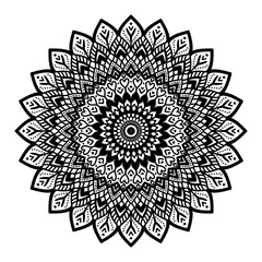 pattern, ornament, vector, mandala, flower, circle, floral, design, decoration, lace, round, art, illustration, wallpaper, vintage, element, decor, oriental, frame, texture, ornate, symbol, retro, sea