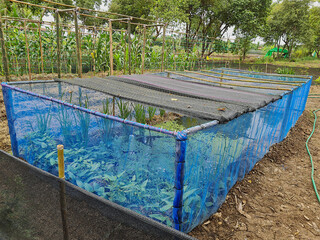 Fishpond and plastic net cover the area