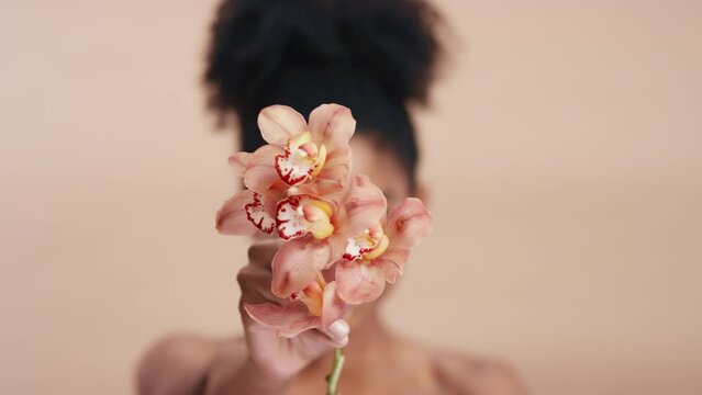 Beauty, skincare and flowers with face of black woman for natural cosmetics, tropical and spring bloom. Glow, floral and makeup with girl model and orchid plant for treatment, wellness and spa