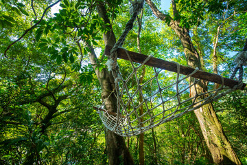 Forest cabin, tree, hammock, rest, forest,