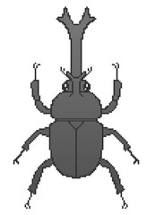 Clip art of black beetle