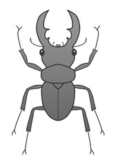 Clip art of stag beetle