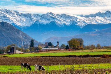 Naklejka premium A farm and field at the base of the Pyrenees Mountains