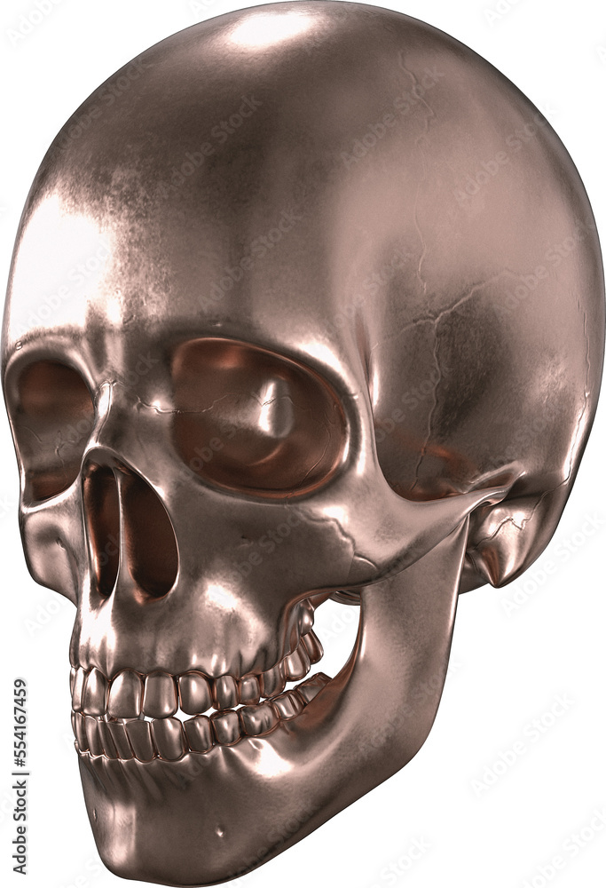 Poster metal skull isolated on a transparency background. 3d render