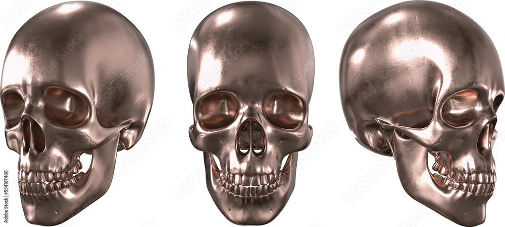 Poster copper skull in different angles isolated on a transparency background. 3d render