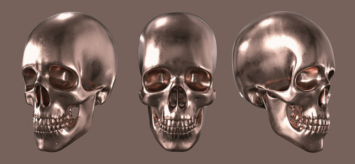 Copper skull in different angles isolated. 3d render