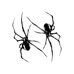 vector illustration of two spider silhouettes