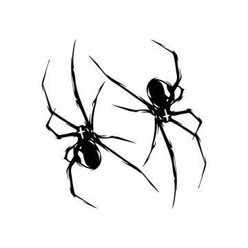 vector illustration of two spider silhouettes