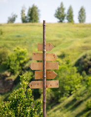 Wooden signs signposts on nature