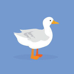 Duck - side view, illustration, vector