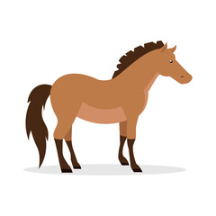 Brown horse - side view, illustration