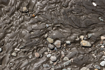Muddy river bottom, without water. Natural background. The concept of ecology.