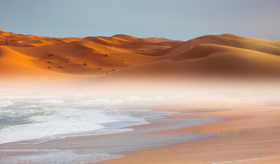 Fototapeta na wymiar Namib desert with Atlantic ocean meets near Skeleton coast - Namibia, South Africa