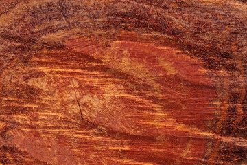 Abstract pattern of longan tree core texture.