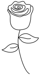 hand drawn line art illustration of rose minimalist 