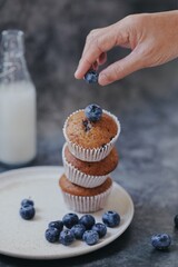 blueberry muffin with blueberries