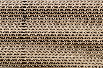 ダンボールの側面