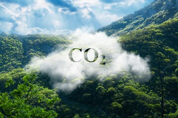 CO2 fog on beautiful nature background
