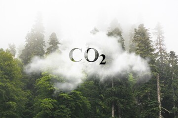 CO2 fog on beautiful nature background