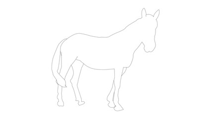 Silhouette of an adult horse