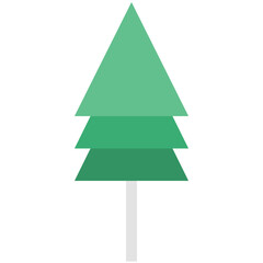 Pine Tree 