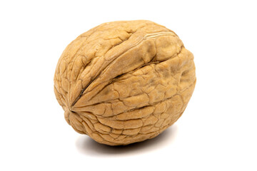 Fototapeta na wymiar Walnuts in shell isolated on a white background. Clipping Path. Full depth of field. close up