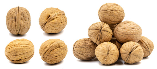 Set of Walnut images. Walnut isolated on a white background. Clipping Path. Full depth of field. close up