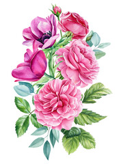 Beautiful delicate pink flowers. Roses, anemone flowers, eucalyptus leaves. Floral Watercolor botanical illustrations 