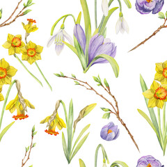 Fototapeta na wymiar Watercolor hand drawn seamless pattern with spring flowers, daffodils, crocus, snowdrops. Isolated on white background Design for invitations, wedding, greeting cards, wallpaper, print, textile.