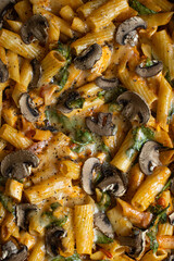 Fototapeta premium High quality photo of home made pasta bake by professional chef. High definition photo of cheesy pasta dish.