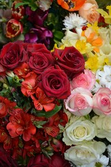 Roses of different varieties, chrysanthemums, daffodils close-up