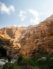 Wadi Shaab, nature of Oman
