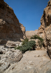 Fototapeta premium Wadi Bani Khalid, nature of Oman