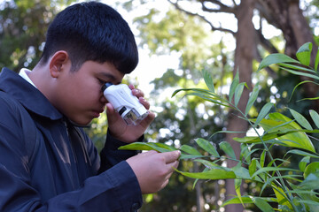 Young Asian boy is holding a pocket microscope to look at tiny particles on plant leaves to study plants and organisms on different types of plants in botanical garden, soft and selective focus.