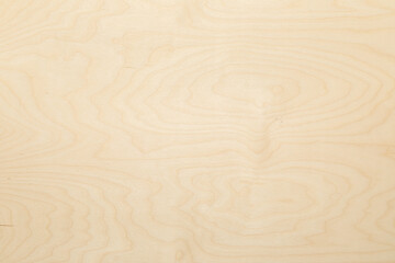 High key birch wood plank natural texture, plank texture background, plank tabletop background.