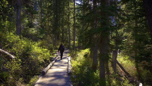 Tourist walks on the Jenny Lake Trail in Grand Teton National Park, Wyoming
