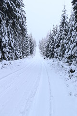 Snowy cross-country trail without people among the trees in the mountains.