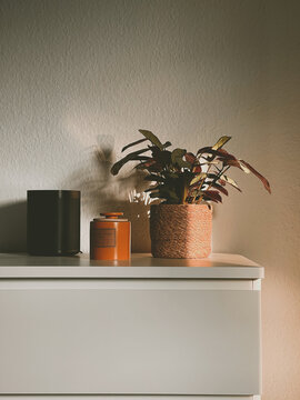 Home with Sonos speaker, candle and Plant