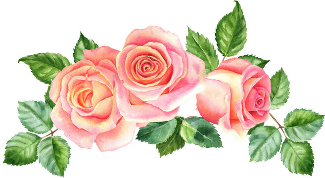 Watercolor rose flowers bouquets. Floral collection with flowers and leaves. Hand painted set of spring decorative design elements for banners, cards, wedding invitations