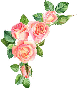 Watercolor rose flowers bouquets. Floral collection with flowers and leaves. Hand painted set of spring decorative design elements for banners, cards, wedding invitations