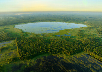 Lake in Swamp, aerial view. Freshwater Lakes. Water supply and water deficit, ecology environmental. Marshland with spruce, pine, fir tree. Morass, wetlands. Peat Bog, fen, mire landscape. Peatland.