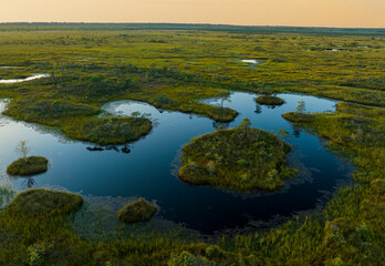 Swamp Yelnya on sunset landscape. Wild mire of Belarus. East European swamps and Peat Bogs. Ecological reserve in wildlife. Marshland with islands and pine trees. Swampy land and wetland, marsh, bog.