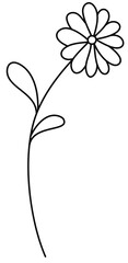 hand drawn of flower line art