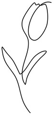 hand drawn of flower line art