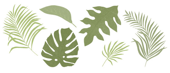 tropical leaves icons on transparent background - obrazy, fototapety, plakaty
