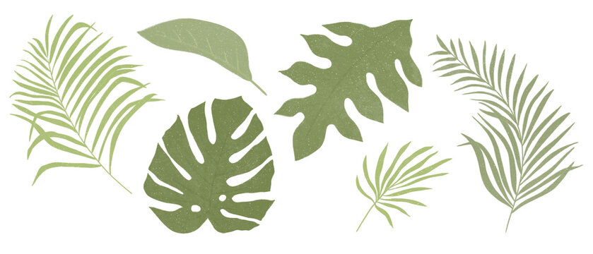 Leaves Png Images – Browse 1,442,277 Stock Photos, Vectors, and