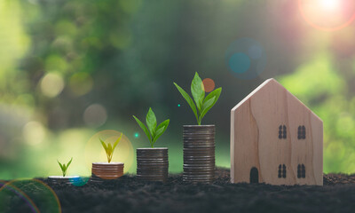 trees planted on stacks of coins and model house on soil, small house with green bokeh background,...