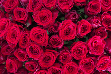 Natural red roses background. Red rose bouquet in the interior of the room. Composition of flowers in a white hatbox.